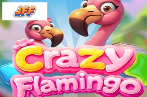 Crazy Flamingo